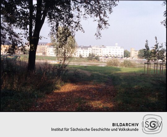 Blick vom Ostragehege über die Elbe nach Pieschen