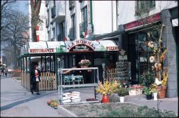 Bild: Blumengeschäft in der Mildred-Scheel-Straße 2, Dresden