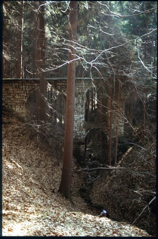 Hohe Brücken über den Bonnewitzbach