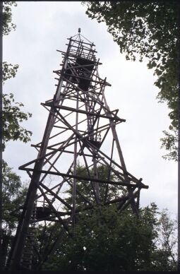 Bild: Holzturm auf dem Borsberg