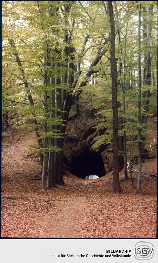 Hohburgtunnel Moritzburg