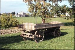 Bild: Pferdewagen in Raun