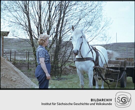 Frau neben einem angespannten Pferd