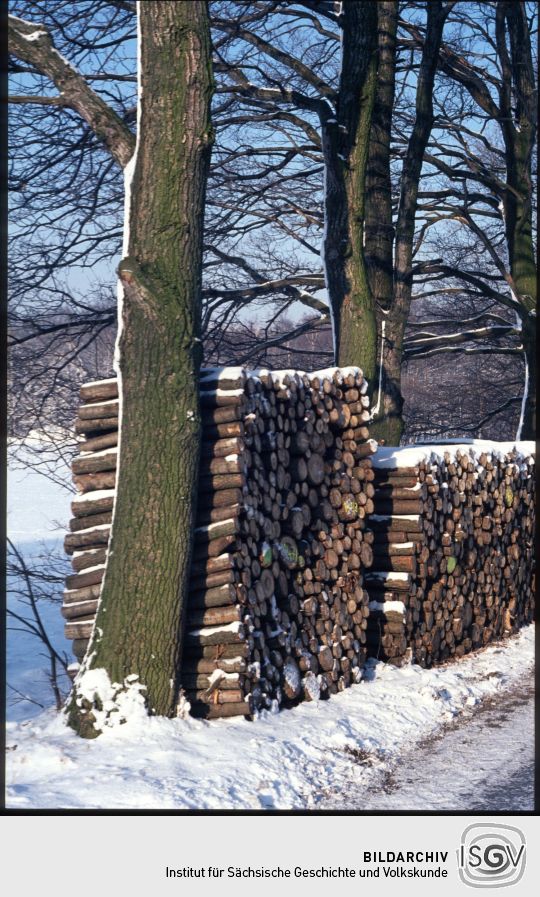 Verschneite Holzstapel am Keulenberg 1988