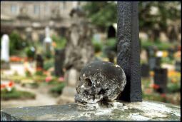 Bild: Alter Katholischer Friedhof Dresden
