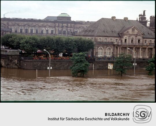 Blick über die Elbe bei Hochwasser zur zum Italienischen Dörfchen.