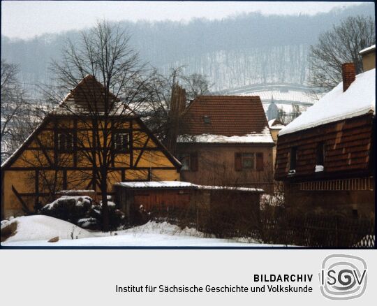 Pillnitz im Winter
