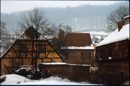 Bild: Pillnitz im Winter