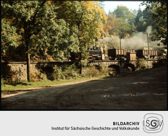 Güterzug der Weißeritztalbahn mit einer Dampflock in Rabenau