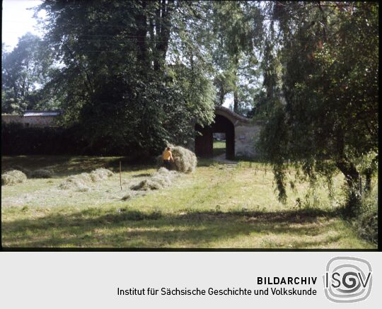 Person beim Abtransport der Mahd von der Wiese