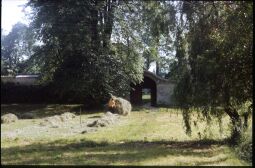 Bild: Person beim Abtransport der Mahd von der Wiese