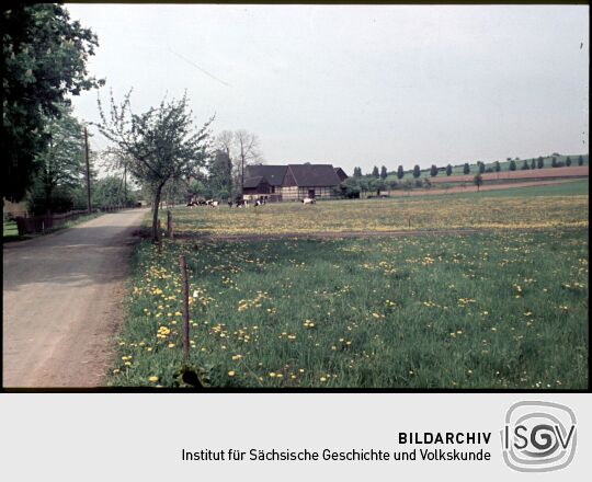 Landschaft in Niederlungwitz