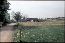 Bild: Landschaft in Niederlungwitz