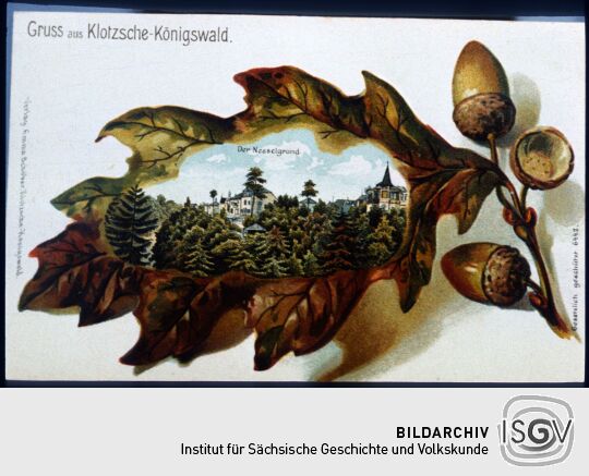 Reproduktion einer Postkarte 'Gruss aus Klotzsch-Königswald'