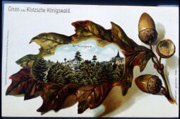Bild: Reproduktion einer Postkarte 'Gruss aus Klotzsch-Königswald'