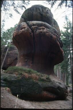 Bild: Felsformation Kelchstein im Zittauer Gebirge
