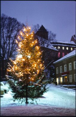 Bild: Weihnachtsbaum auf dem Marktplatz vor der Burg Hohnstein