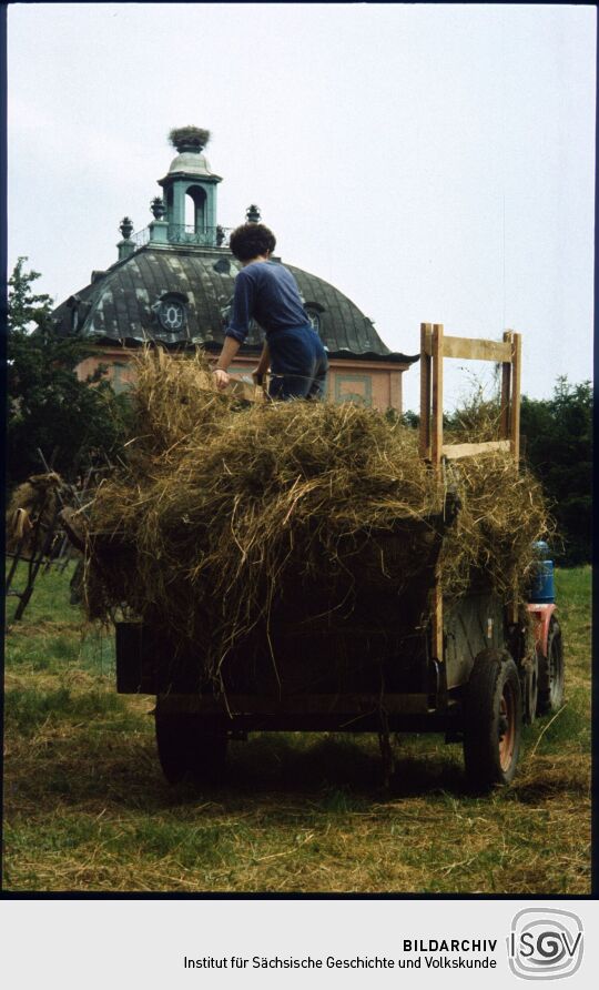 Heuernte vor dem Fasanenschlösschen in Moritzburg