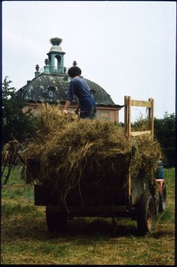 Bild: Heuernte vor dem Fasanenschlösschen in Moritzburg