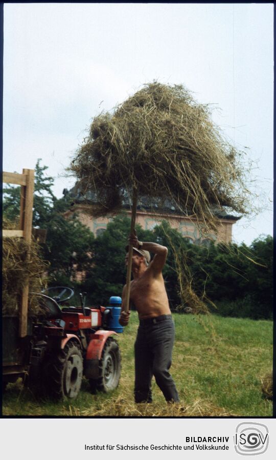 Heuernte vor dem Fasanenschlösschen in Moritzburg