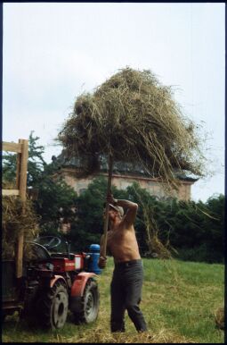 Bild: Heuernte vor dem Fasanenschlösschen in Moritzburg