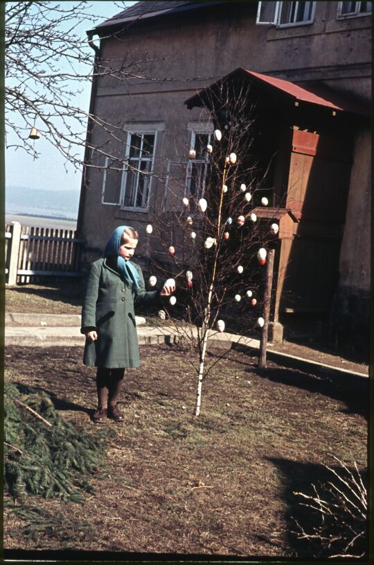 Mädchen an einem Osterbaum in Gohrisch