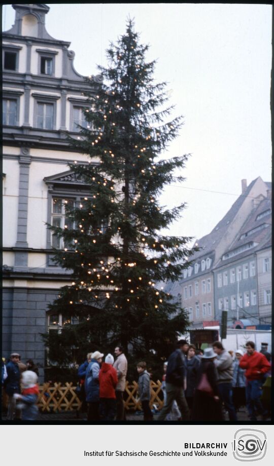 Weihnachtsbaum auf dem Pirnaer  Weihnachtsmarkt am Rathaus