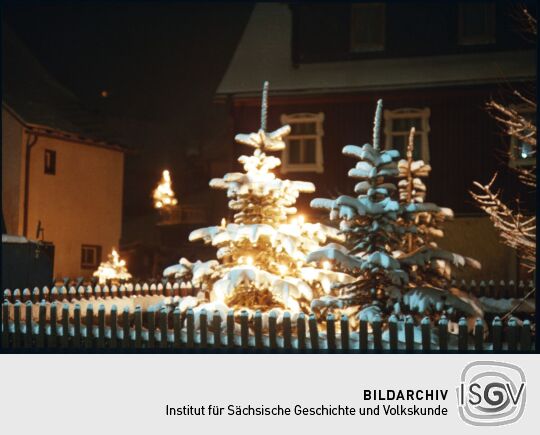 Verschneite Weihnachtsbäume in Geising