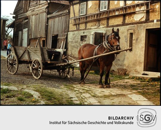 Wagen mit angespannten Pferd auf einem Bauernhof in Sohland