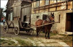 Bild: Wagen mit angespannten Pferd auf einem Bauernhof in Sohland