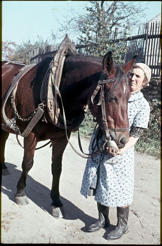 Eine Frau mit einem angespannten Pferd in Sohland am Rotstein