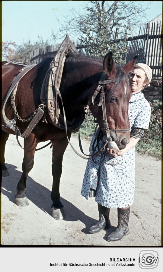 Eine Frau mit einem angespannten Pferd in Sohland am Rotstein