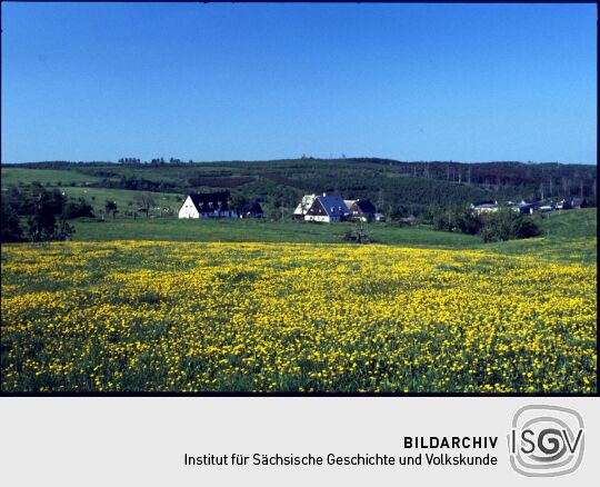 Blick über blühende Wiesen nach Zinnwald