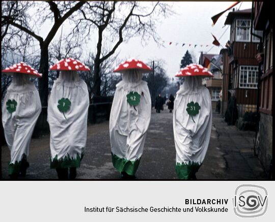 Vier als Pilze verkleidete Personen bei der Schifferfastnacht in Bad Schandau