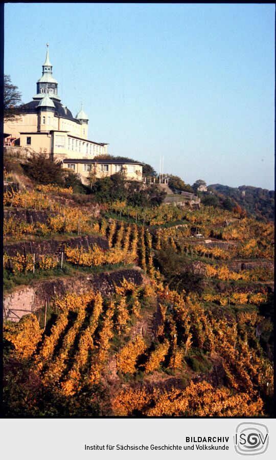 Weinberge und Spitzhaus in Radebeul