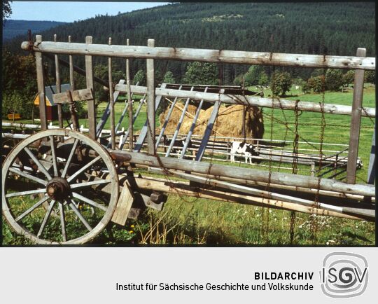 Leiterwagen vor einer Weide mit Kühen in Fürstenau, Erzgebirge