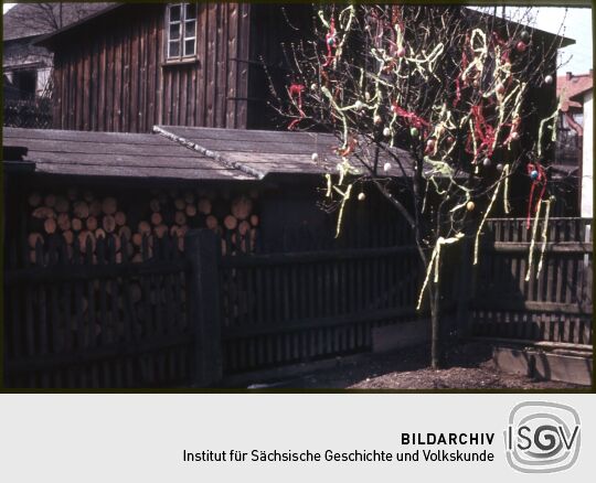 Osterbaum in Schirgiswalde 1965