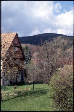 Bild: Garten in Jonsdorf