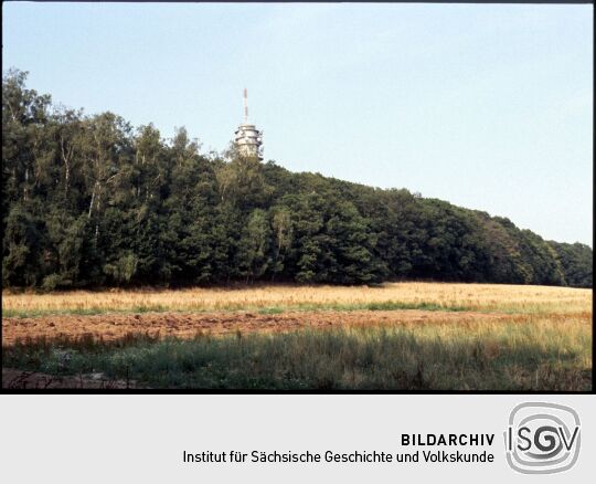 Blick zum Sendeturm auf dem Collm