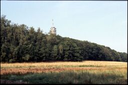 Bild: Blick zum Sendeturm auf dem Collm