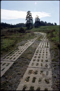Bild: Grenzweg  bei Wiedersberg im Vogtland