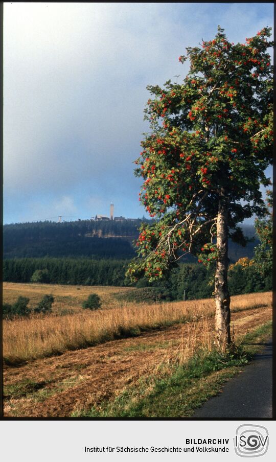 Blick zum Gipfel des Fichtelbergs