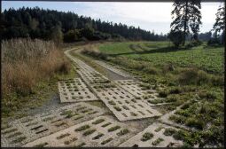 Bild: Grenzweg bei Wiedersberg im Vogtland