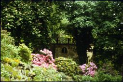 Bild: Park in Wachwitz