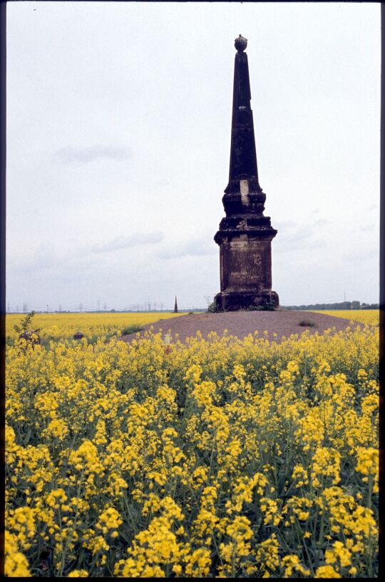 Obelisk in einem Rapsfeld bei Zeitenhain zur Erinnerung an das Zeithainer Lustlager 1730