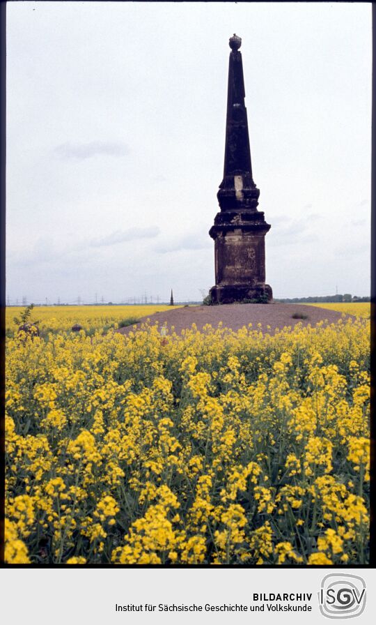 Obelisk in einem Rapsfeld bei Zeitenhain zur Erinnerung an das Zeithainer Lustlager 1730