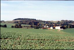 Bild: Landschaft bei Wiedersberg und Blosenberg im Vogtland