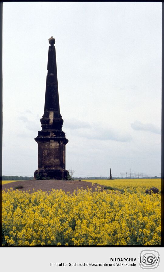 Obelisk in einem Rapsfeld bei Zeitenhain zur Erinnerung an das Zeithainer Lustlager 1730