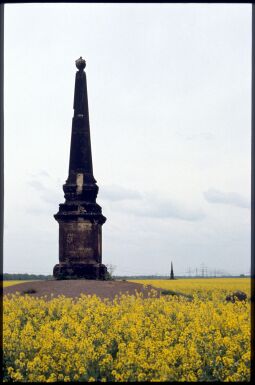 Bild: Obelisk in einem Rapsfeld bei Zeitenhain zur Erinnerung an das Zeithainer Lustlager 1730