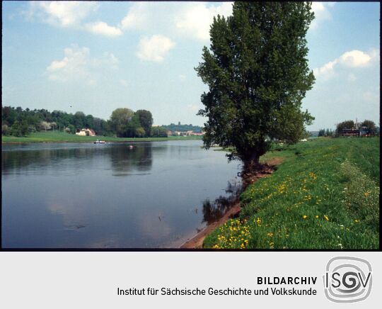 Blick auf die Elbe bei Zadel